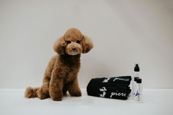 piero-toilette-firenze5