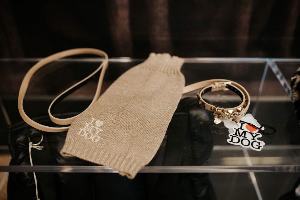 prodotti-cani-gatti-firenze